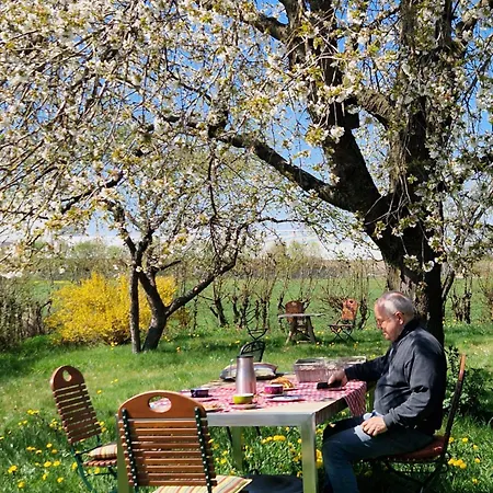 아파트 Storchenwiese Im Fraenkischen Seenland 헤리에덴