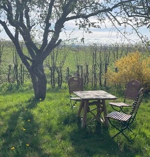 Storchenwiese Im Fraenkischen Seenland