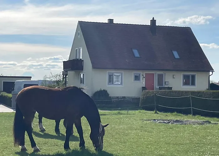 Storchenwiese Im Fraenkischen Seenland *