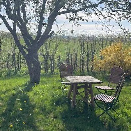 Storchenwiese Im Fraenkischen Seenland