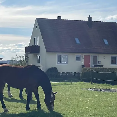 Storchenwiese Im Fraenkischen Seenland *